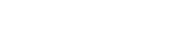 Top Web Development Company in India